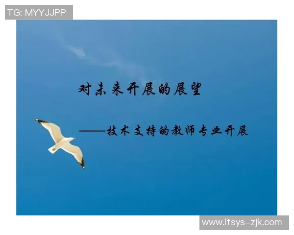 2017九号足球明星的辉煌历程与未来展望解析