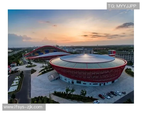 北京乒乓球队运营模式解析与发展策略探讨