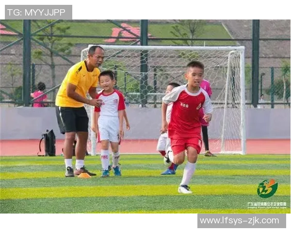 探索董足球的魅力与影响力，揭示其背后的故事与精神传承